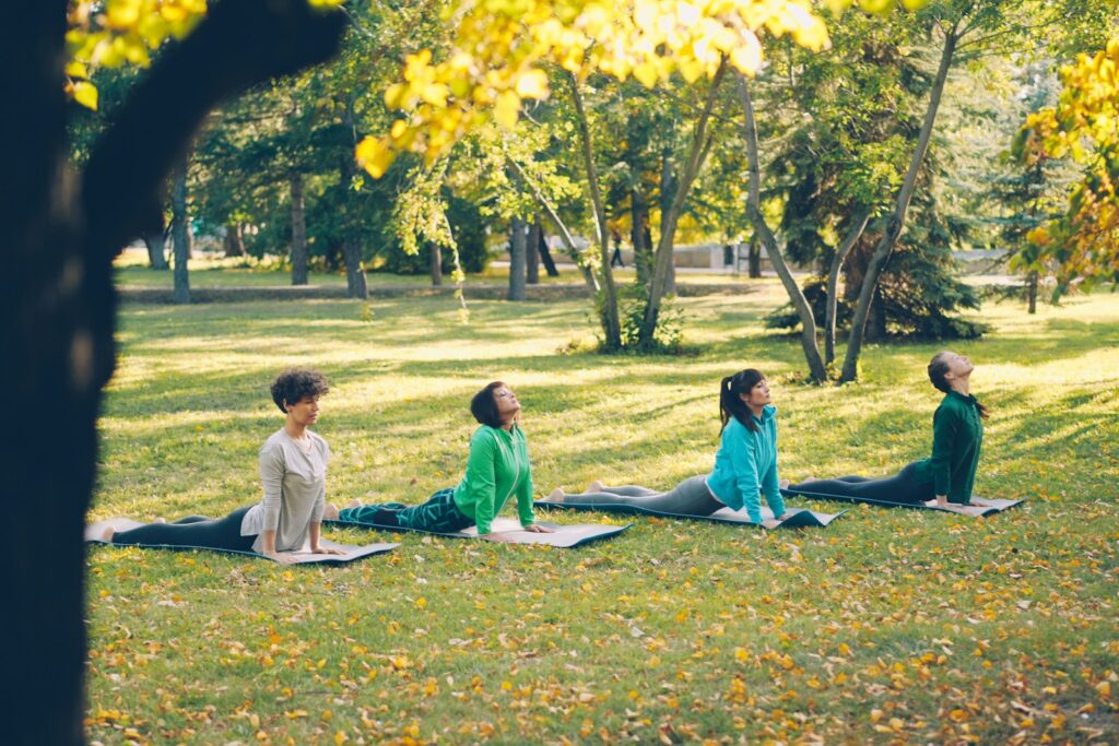 Gruppo di persone che pratica yoga sui tappetini in un parco con foglie autunnali